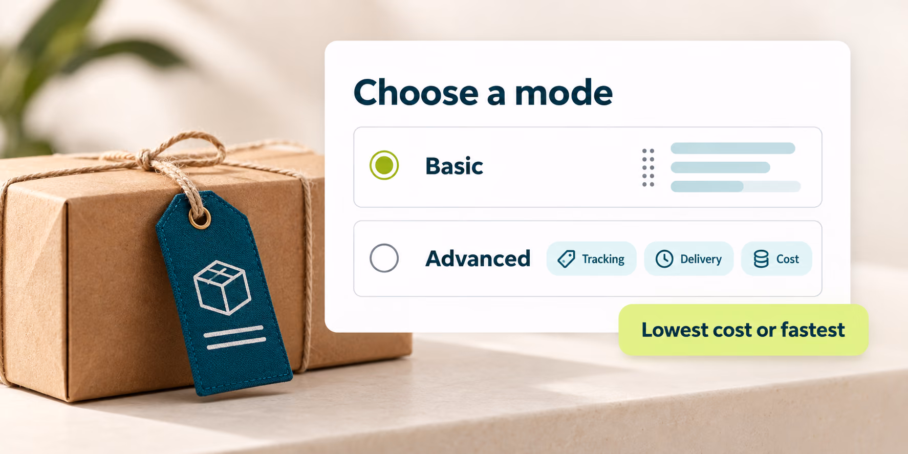 Basic mode selected above Advanced tracking, delivery, and cost conditions