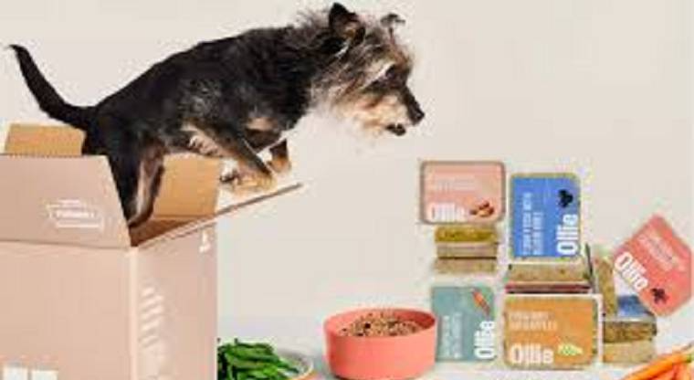 Personalized & Subscription - DSers