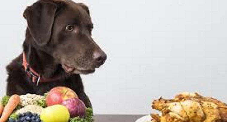 Nutritional Awareness Boom - DSers