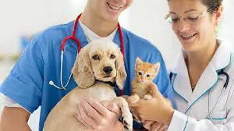 Preventive Healthcare Surge - DSers