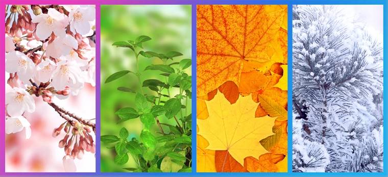Seasonal Demand - DSers