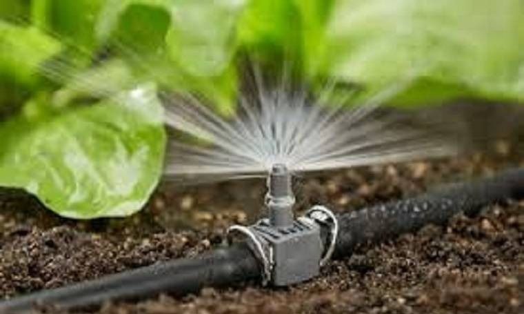 Water-Saving Technology - DSers