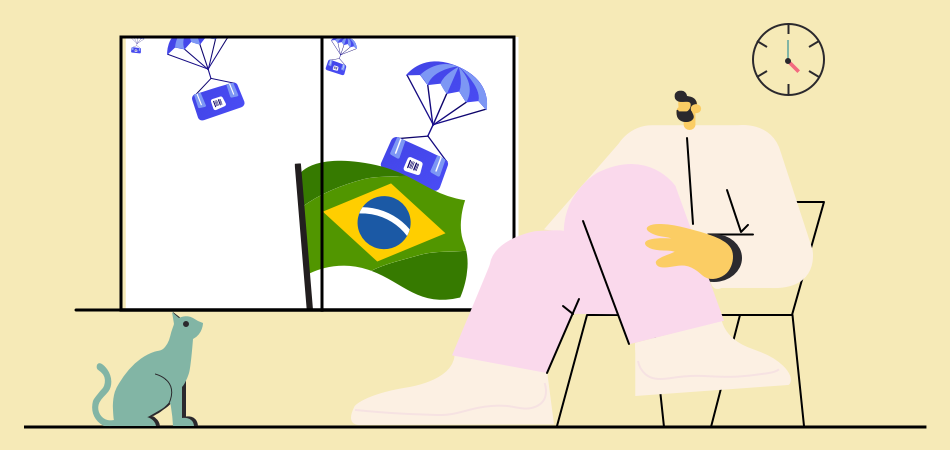 How to Dropship in Brazil 2022: 5 Crucial Tips You Wouldn’t Miss